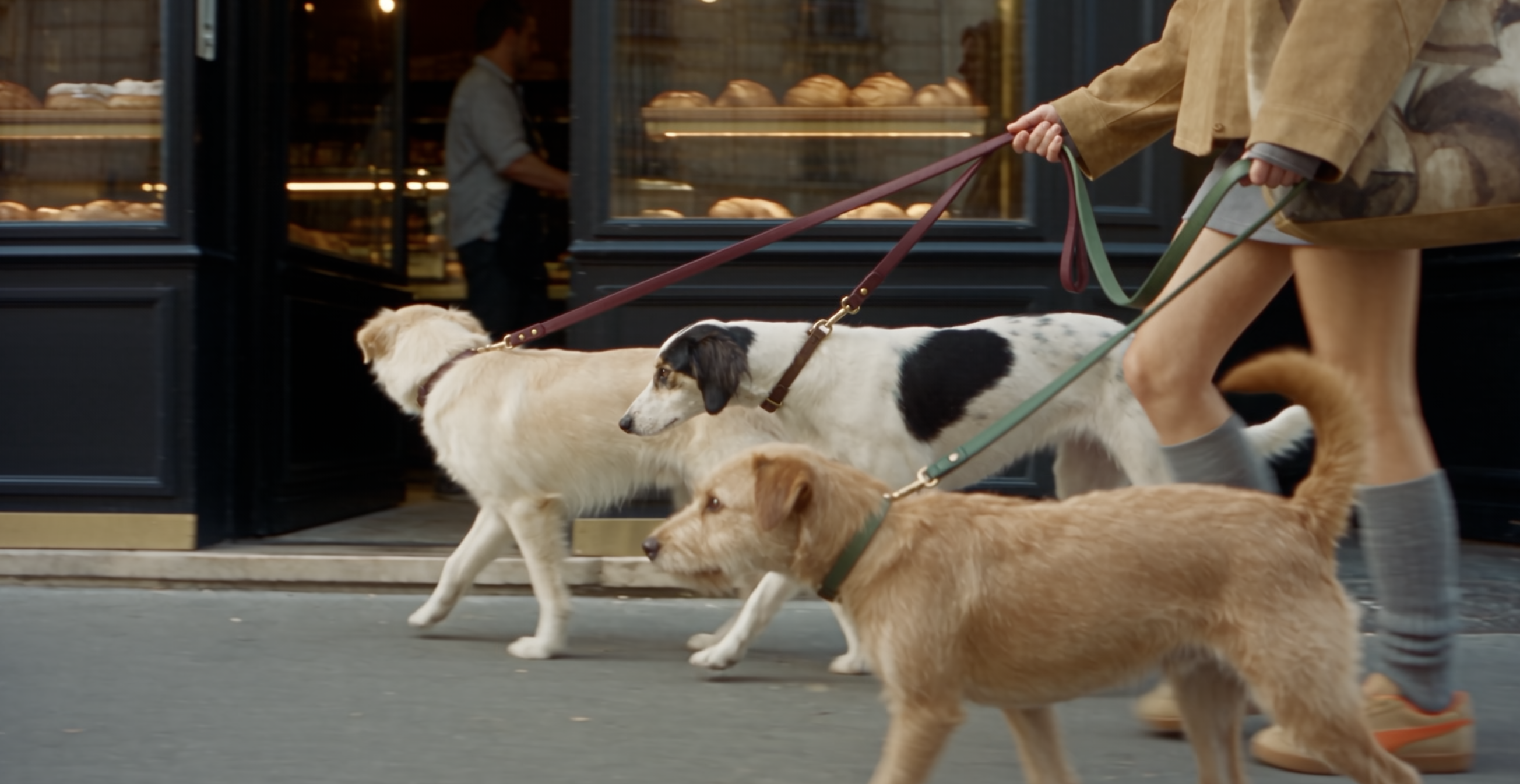 Three dogs lead the way past a Parisian bakery